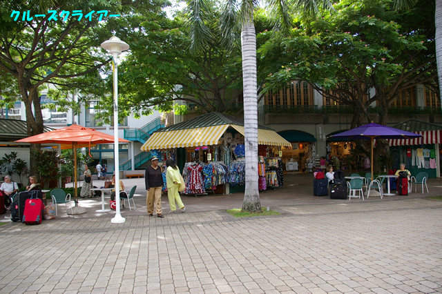 IMGP1141.jpg