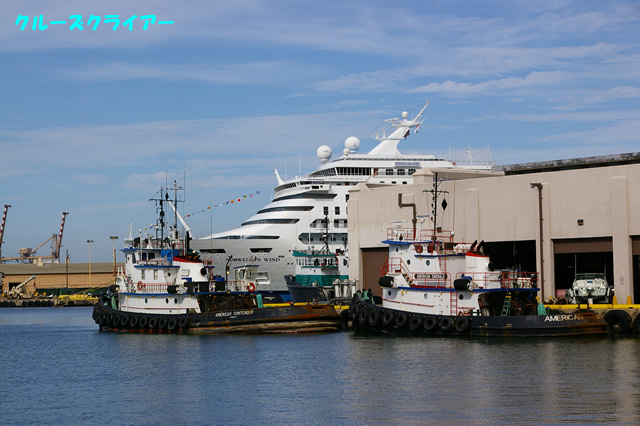 IMGP1153.jpg