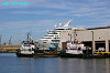 IMGP1153_thumb.jpg