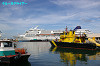 IMGP1156_thumb.jpg