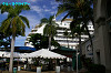 IMGP1159_thumb.jpg