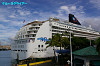 IMGP1162_thumb.jpg