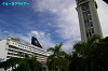 IMGP1164_thumb.jpg