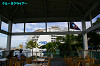 IMGP1165_thumb.jpg
