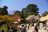 IMGP2055_thumb.jpg