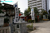 IMGP2071_thumb.jpg