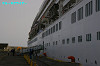 IMGP2073_thumb.jpg