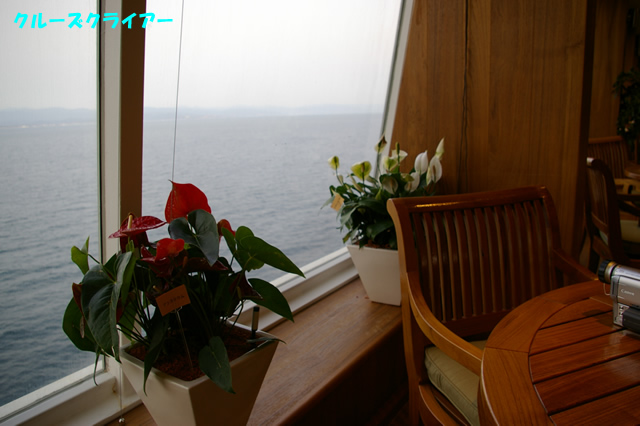 IMGP2120.jpg