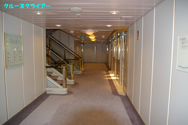IMGP2156.jpg