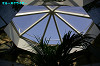 IMGP2189_thumb.jpg