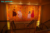 IMGP2206_thumb.jpg