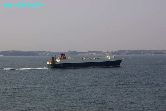 IMGP2255.jpg