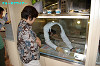 IMGP2256_thumb.jpg