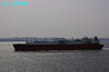 IMGP2266_thumb.jpg