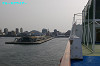 IMGP2303_thumb.jpg