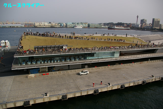 IMGP2311.jpg