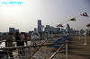 IMGP2312_thumb.jpg