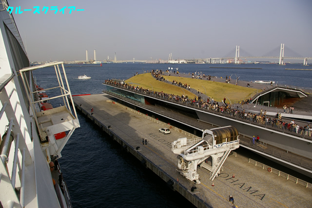 IMGP2313.jpg