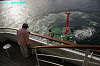 IMGP2317_thumb.jpg