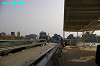 IMGP2326_thumb.jpg