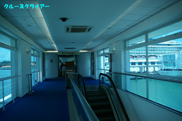 IMGP2602.jpg