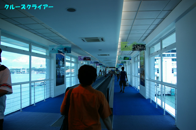IMGP2604.jpg