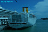 IMGP2605_thumb.jpg