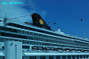 IMGP2606_thumb.jpg