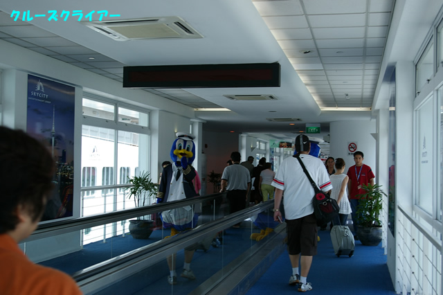 IMGP2609.jpg