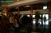 IMGP2625_thumb.jpg