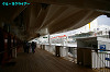 IMGP2673_thumb.jpg