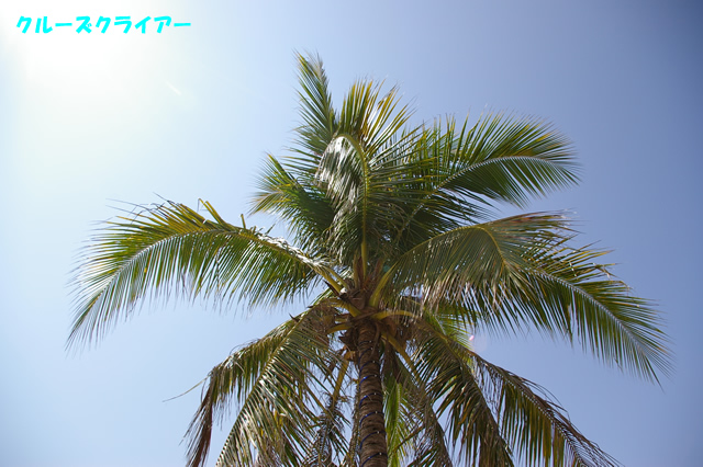 IMGP2779.jpg