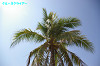 IMGP2779_thumb.jpg