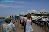 IMGP2835_thumb.jpg