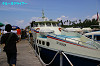IMGP2836_thumb.jpg