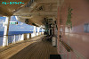 IMGP3103_thumb.jpg