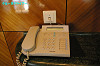 IMGP3110_thumb.jpg