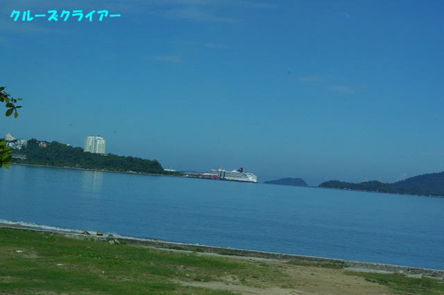 IMGP3226.jpg
