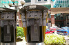 IMGP3235_thumb.jpg
