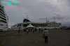 IMGP3246_thumb.jpg