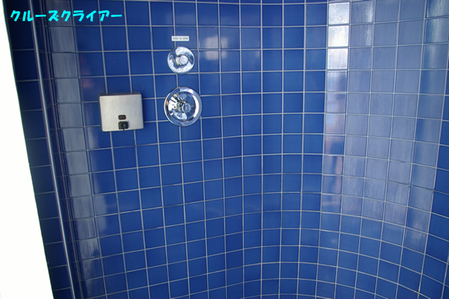 IMGP3290.jpg