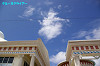 IMGP3299_thumb.jpg