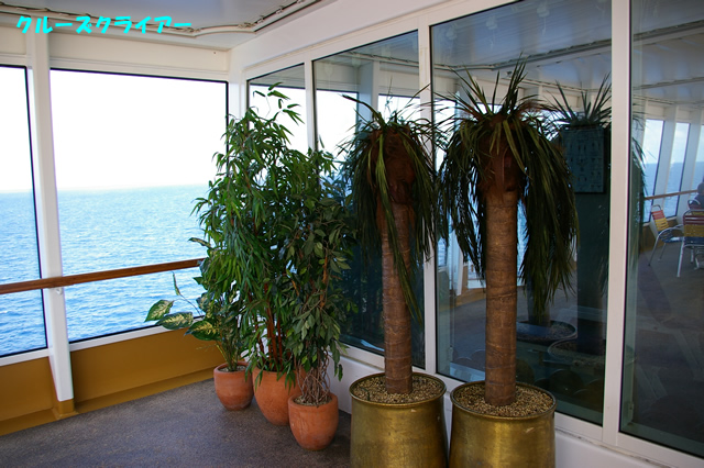 IMGP3311.jpg