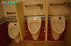 IMGP3343_thumb.jpg