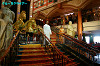 IMGP3350_thumb.jpg