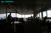 IMGP3413_thumb.jpg