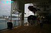 IMGP3483_thumb.jpg