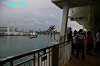 IMGP3484_thumb.jpg