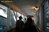 IMGP3486_thumb.jpg