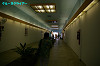IMGP3840_thumb.jpg